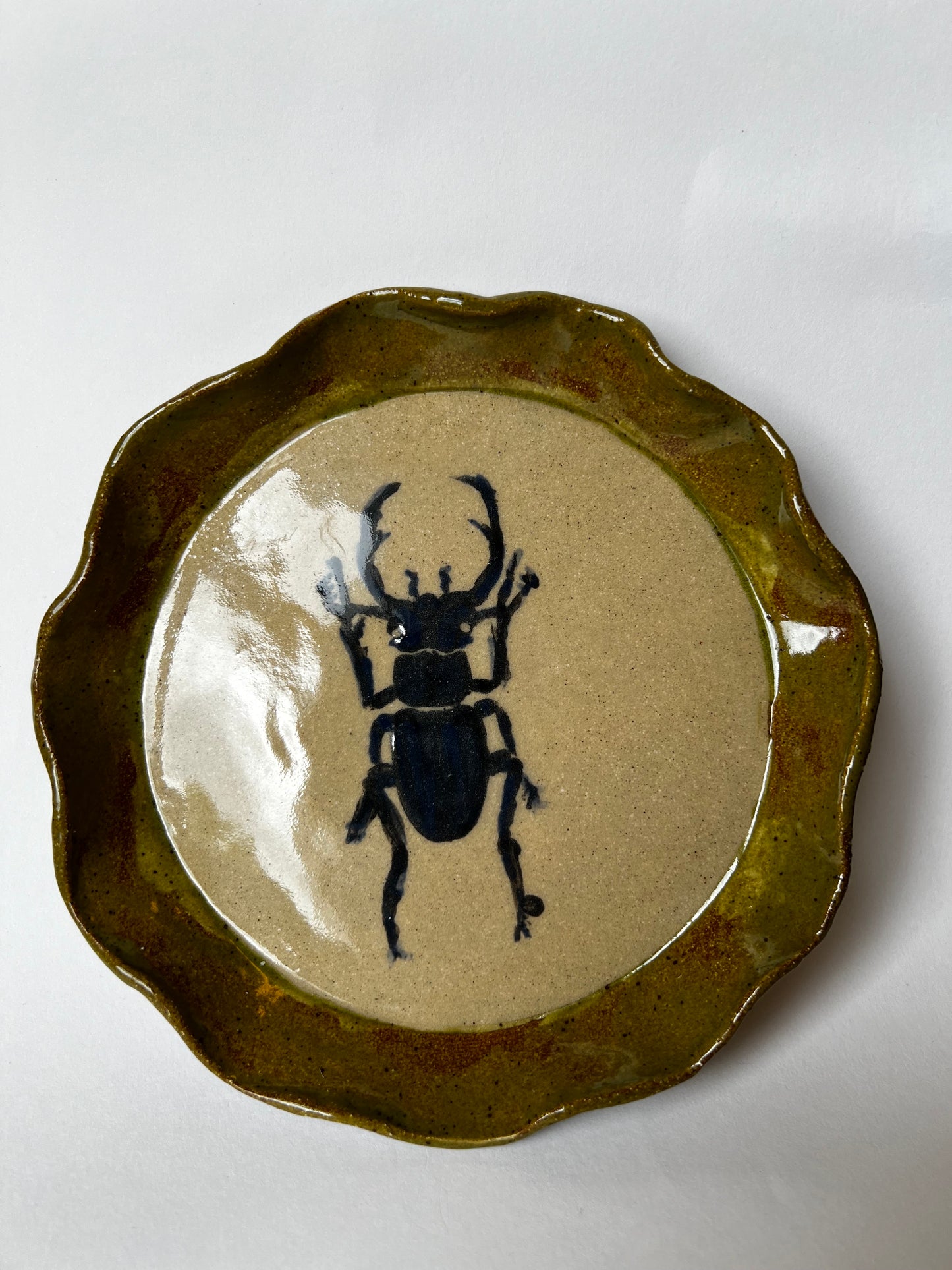 Beetle Plate