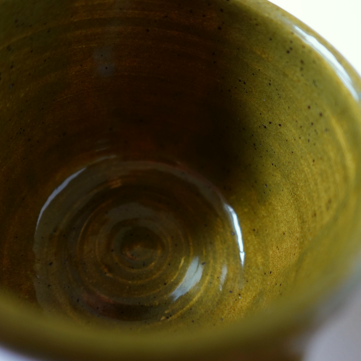 Evergreen Mug