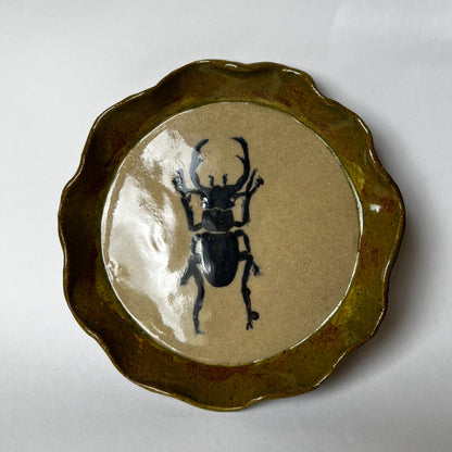 Beetle Plate