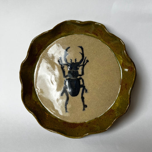 Beetle Plate