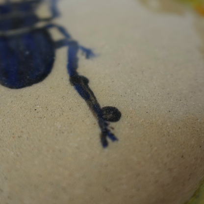 Beetle Plate